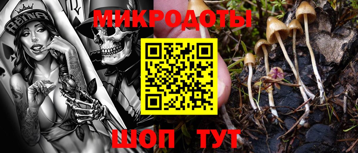 Галлюциногенные грибы GOLDEN TEACHER Тулун
